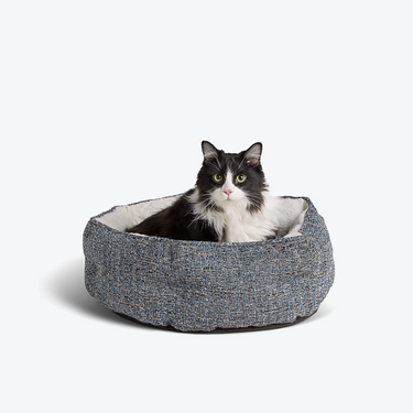 Cat Supplies